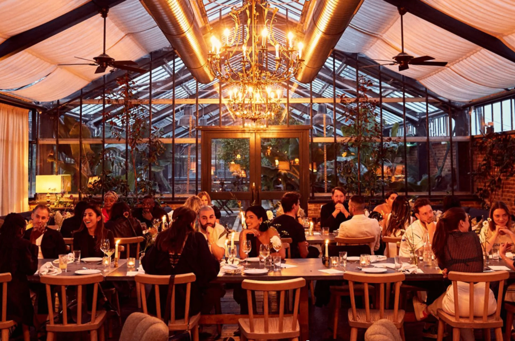 Warm glasshouse dining room filled with guests